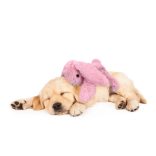 Cozy Dog Bunny Blue
