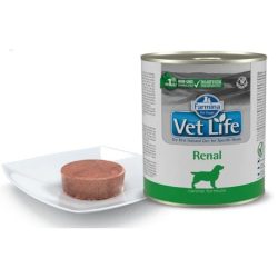 Farmina Vet Life Natural Diet Dog Renal 300g
