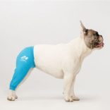 Csinieb Színes végtagvédő – Bal hátsó 07