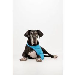 Csinieb Színes végtagvédő – Jobb mellső 0