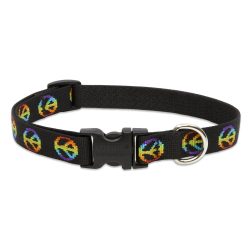 LUPINE nyakörv (Woofstock 1,9 cm széles 34-55 cm)