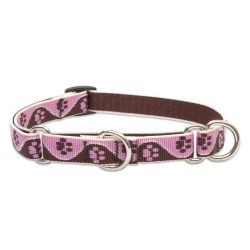   LUPINE Félfojtó nyakörv (Tickled Pink 1,9 cm széles 36-51 cm)