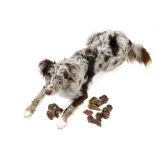 Doxneo beef lungs - marhatüdő 500 g