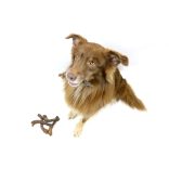 Doxneo duck necks - kacsanyak 500 g