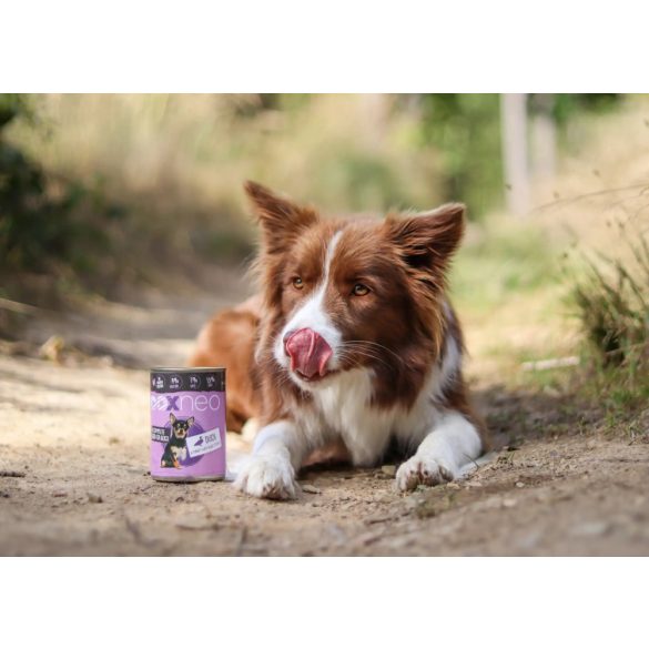 Doxneo Duck Can - Kacsa konzerv 400 g