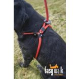 Easy Walk Mini Handheld 210 cm Red