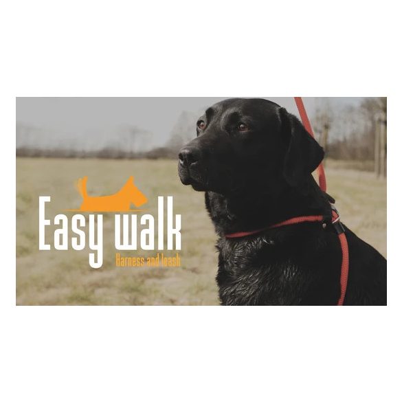 Easy Walk Mini Shoulder 300 cm Red