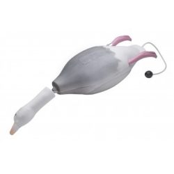 Dokken's Dummy apport Császár lúd (Blue Goose)