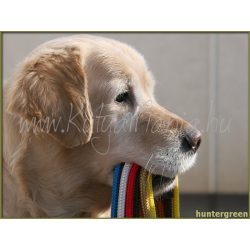 Retriever Póráz