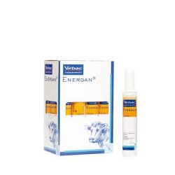 ENERGAN CALCIUM 12X340 GR GÉL