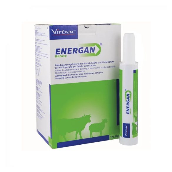 Energan Ketose 12 x 300g