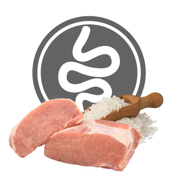 Exclusion Intestinal Pork and Rice Small 2 kg