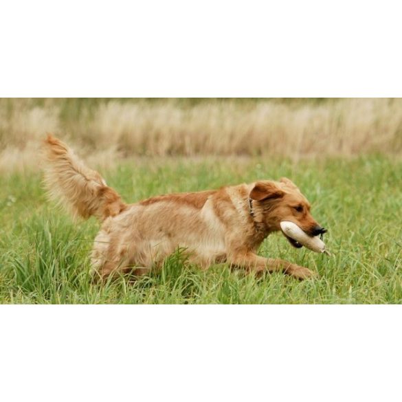 Firedog Junior dummy 300 g white