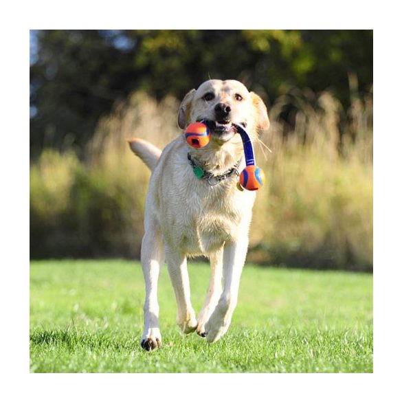 Chuckit! Hydro Squeeze Duo Tug L