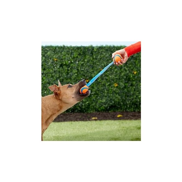 Chuckit! Hydro Squeeze Duo Tug M