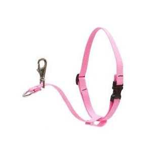 LUPINE NO PULL (Pink 2,5 cm széles 60-96 cm)