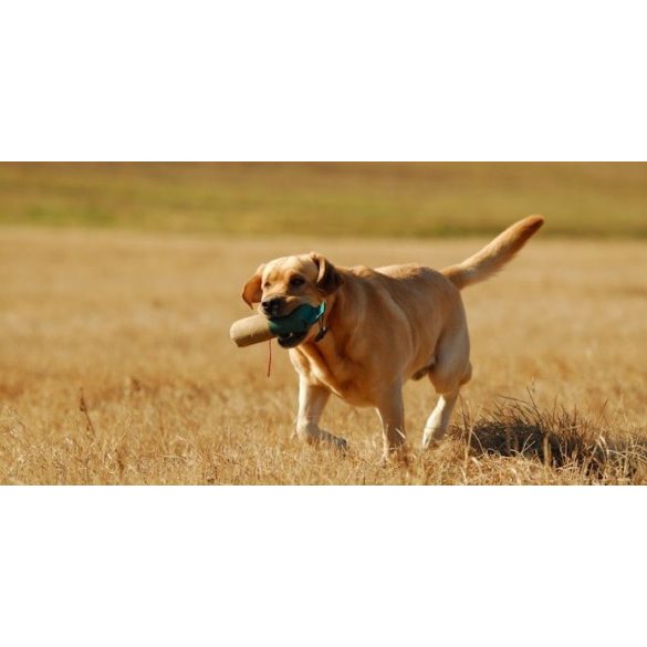 Firedog Marking dummy 500 g green/white