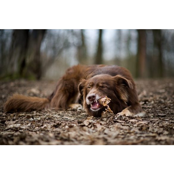 Marp Holistic Buffalo Crunchies - Szárított bivaly légcső 500 g