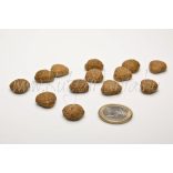 MARP Natural Farmfresh Pulyka & Rizs 70 g