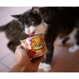 Marp CAT Holistic Pure Salmon - Tiszta Lazac 100 g