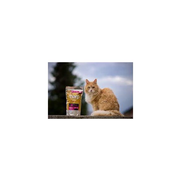 Marp CAT Holistic Turkey ALS - Pulyka 0,5 kg
