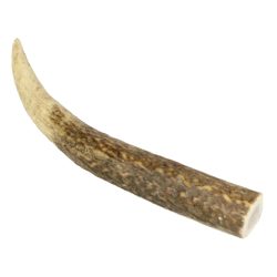 Marp Szarvas agancs- Deer Antlers XL