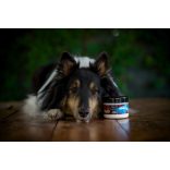 Marp Holistic Shark Cartilage - Cápaporc 100 g