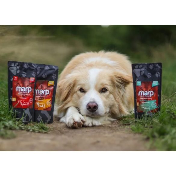 Marp Holistic Grass Fed Beef Sauce - Szósz Marha 180 ml