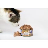 Marp CAT Holistic Plus - Nedves Tuna pate with shrimp 70 g - Tonhalpástétom garnélával 70 g