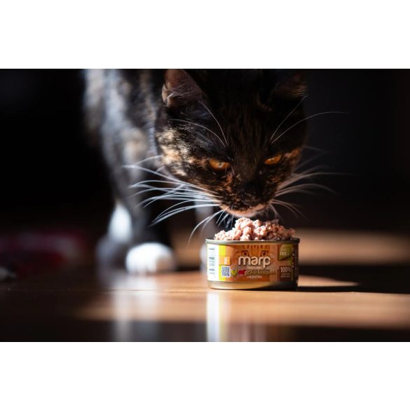 Marp CAT Holistic Plus - Nedves Chicken pate with beef flake 70 g - Csirkepástétom marhadarabokkal 70g