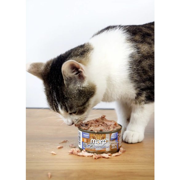 Marp CAT Holistic Plus - Nedves Tuna whole loin with sardine and blueberry in jelly 70 g - Tonhalfilé szardíniával és áfonyával zselében 70 g