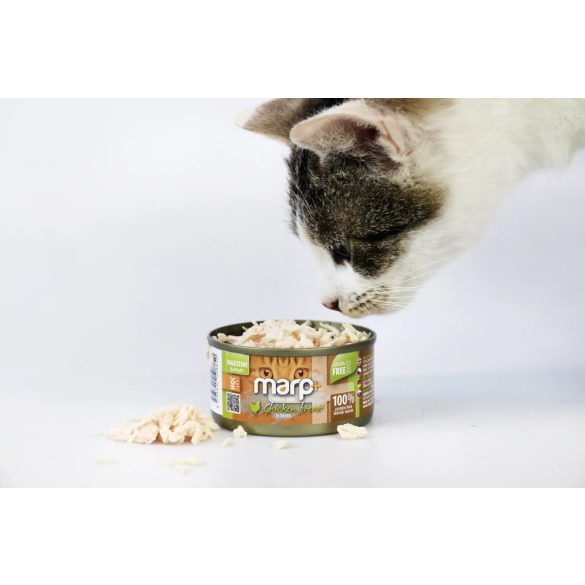 Marp CAT Holistic Plus - Nedves Chicken breast in broth 70 g - Csirkemell levesben 70g