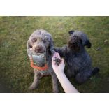 Marp Think Variety Functional Duck Snack - Ízületvédelem 120 g