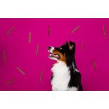 Marp Holistic Plus Turkey Stick - Pulyka csíkok 80g