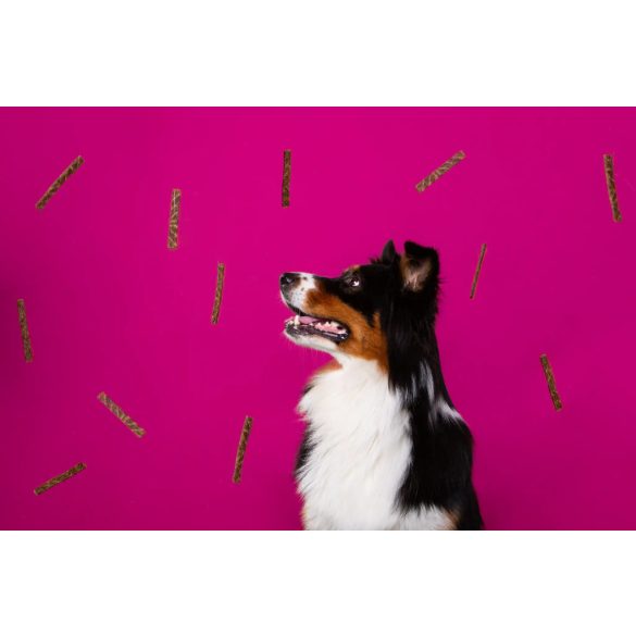 Marp Holistic Plus Turkey Stick - Pulyka csíkok 80g