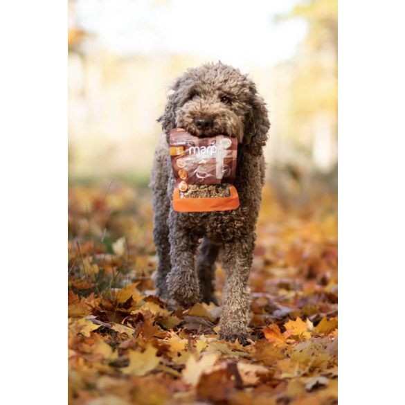 Marp Holistic Plus - Functional Mobility support 80 g