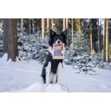 Marp Holistic - Collagen Sticks with Turmeric - Kollagén rudak kurkumával 5db