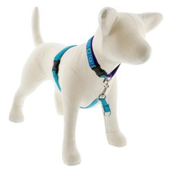 LUPINE NO PULL (Aqua 1,9 cm széles 36-60 cm)