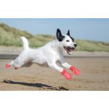 Pawz - Bio kutyacipő XS Narancssárga 12 db