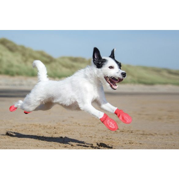 Pawz - Bio kutyacipő M fekete 12 db