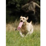 Firedog Standard dummy 1000 g pink