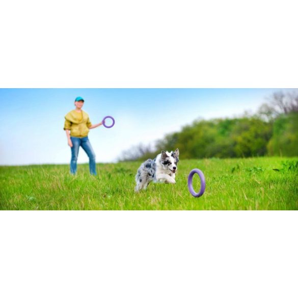 Ferplast Puller Maxi 30 cm