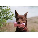  Amarago Eco friendly bone small pink - Kicsi csont kék 13cm/70g