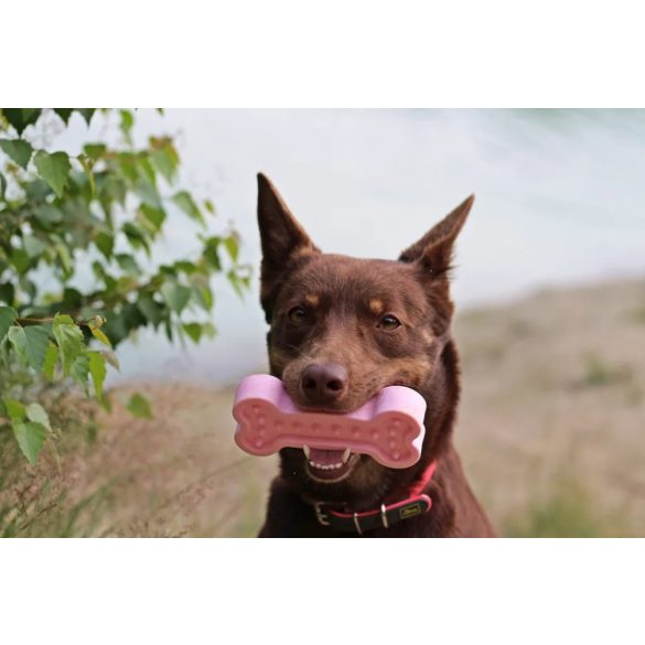  Amarago Eco friendly bone small pink - Kicsi csont kék 13cm/70g