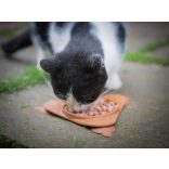 Amarago lick mat triangle brown - Háromszög barna