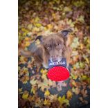 Amarago lick mat circle red - Kör piros