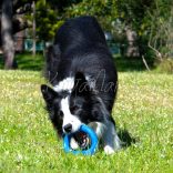 Rogz Pop-Upz M Piros