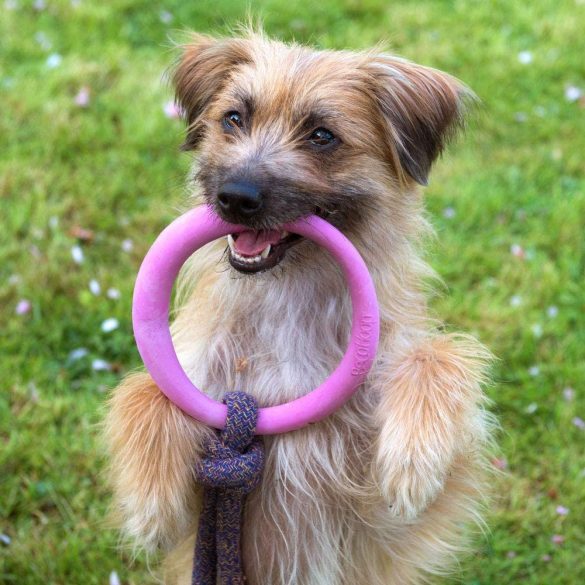 Beco Pets Karika Kötélen L Rózsaszín
