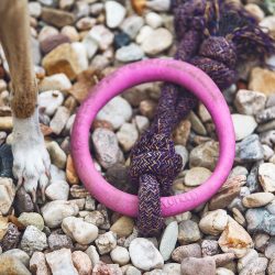 Beco Pets Karika Kötélen S Rózsaszín