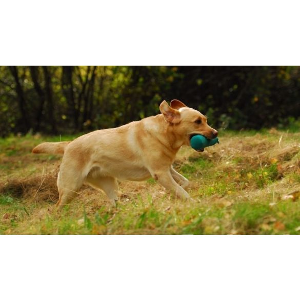 Firedog Standard dummy 500 g green